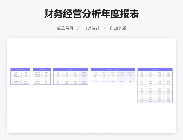财务经营分析年度报表
