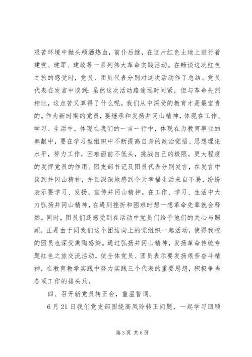 党支部某年七一活动总结.docx