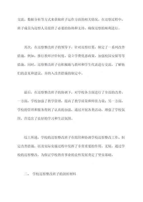 学校巡察整改班子剖析材料