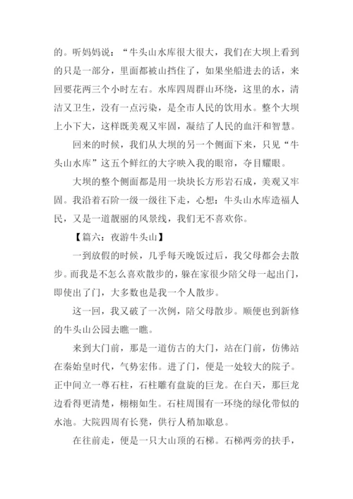 游武义牛头山作文.docx
