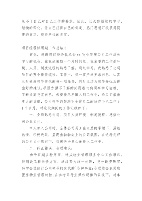 项目经理试用期工作总结.docx