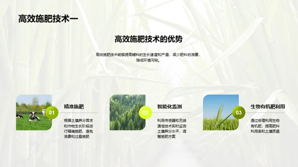 糖料种植的科技革命