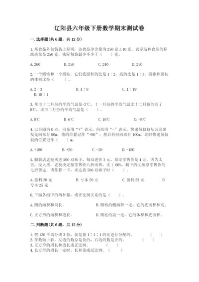 辽阳县六年级下册数学期末测试卷（培优）.docx
