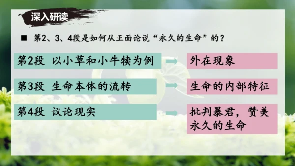 第16课 散文二篇 《永久的生命》课件