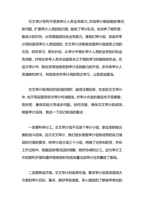 做好审计工作的心得体会.docx