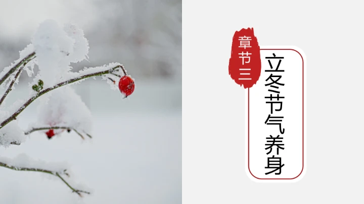 简约中国风传统二十四节气之立冬介绍PPT模板