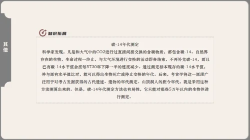 中学历史课人类起源《北京人》通用PPT模板