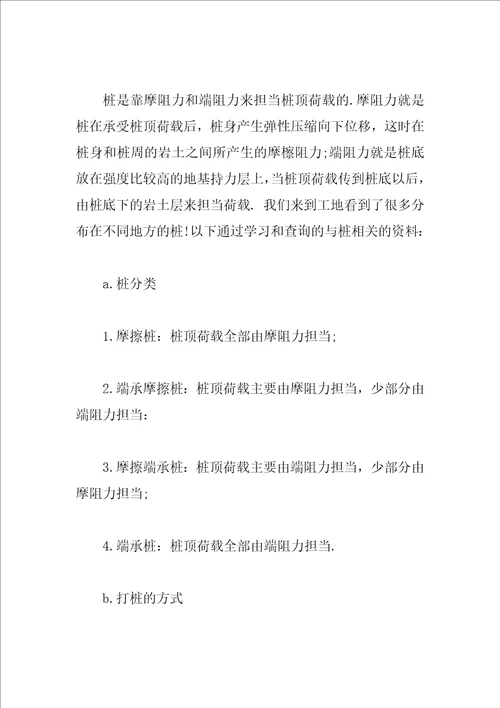 大学实践报告格式范文