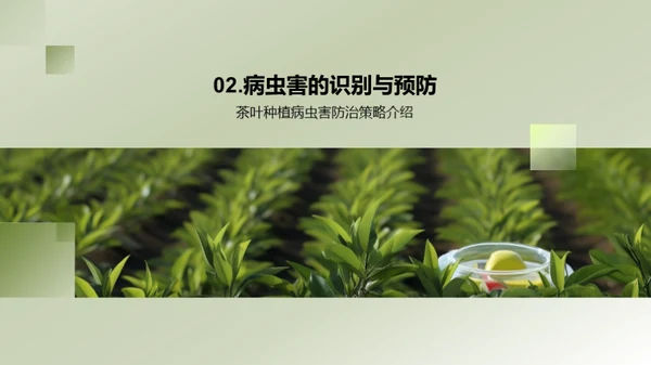茶园病虫害科学防治