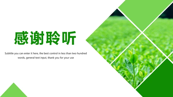 绿色唯美茶园艺术品茶文化茶园PPT模板