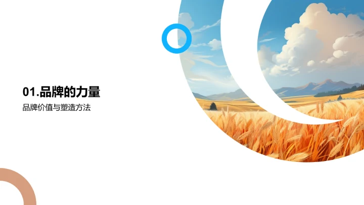 农业品牌成长之道