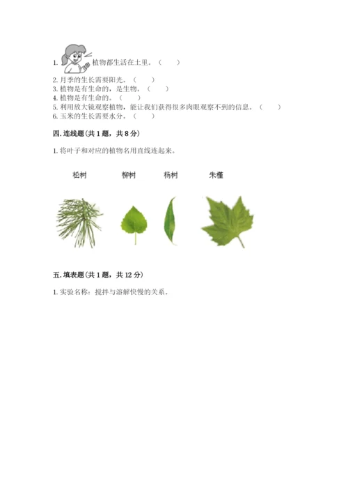 教科版科学一年级上册第一单元《植物》测试卷及答案一套.docx