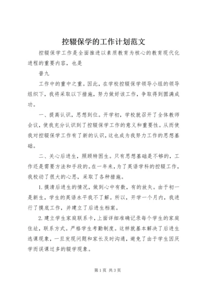 控辍保学的工作计划范文.docx