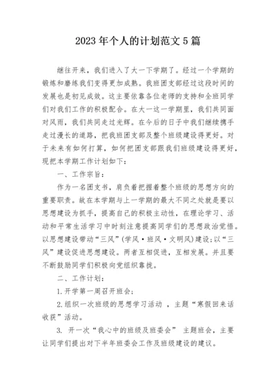 2023年个人的计划范文5篇.docx