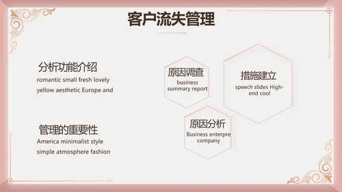 微整形项目介绍工作总结汇报动态PPT