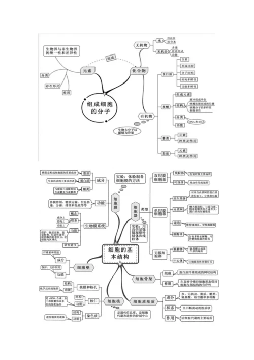 高中生物思维导图.docx