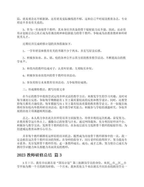 2023教师研修总结