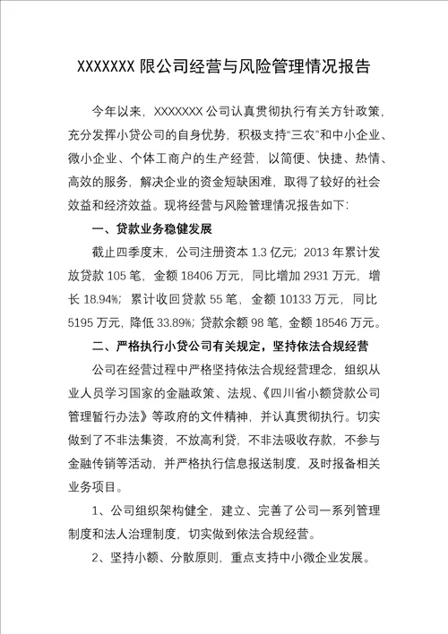 小额贷款公司经营与风险管理情况报告