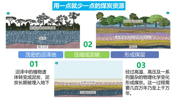 3.1 自然资源的基本特征（课件38张）-人教版八年级地理上册