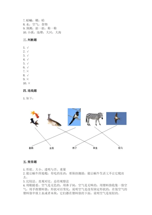 教科版一年级下册科学期末测试卷及答案【基础+提升】.docx