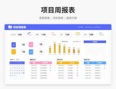项目周报表