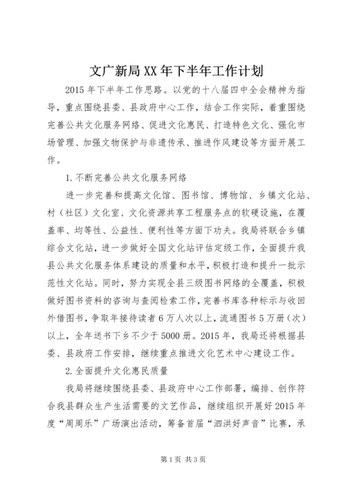 文广新局XX年下半年工作计划 (2).docx