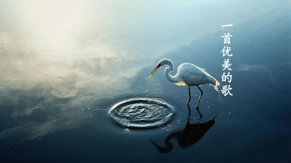 《1 白鹭》课件