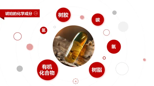 典雅轻奢琥珀藏品专业知识讲座PPT模板