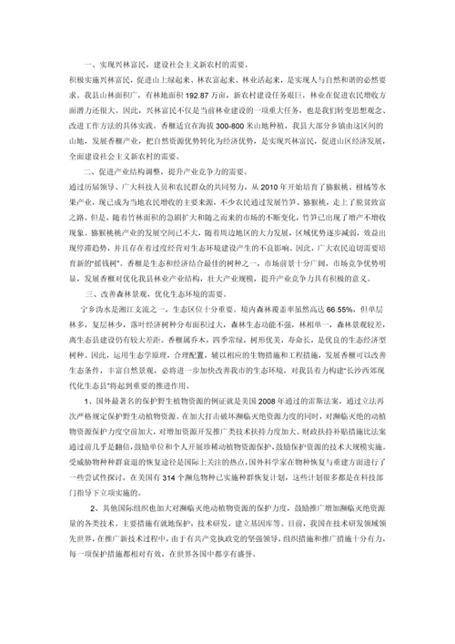 苗木香榧种植项目建议书.docx