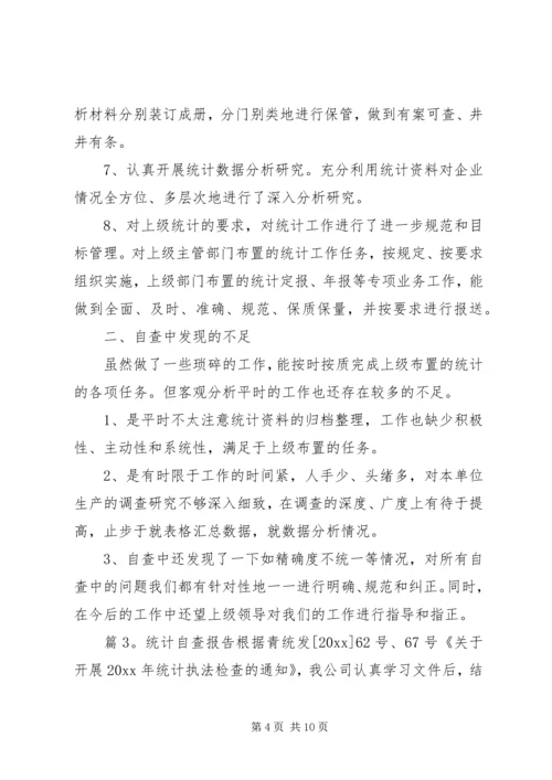 最新统计工作自查报告范文 (2).docx