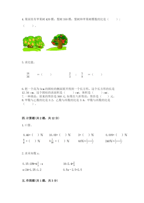 北师大版小学六年级下册数学期末综合素养测试卷及完整答案【夺冠】.docx