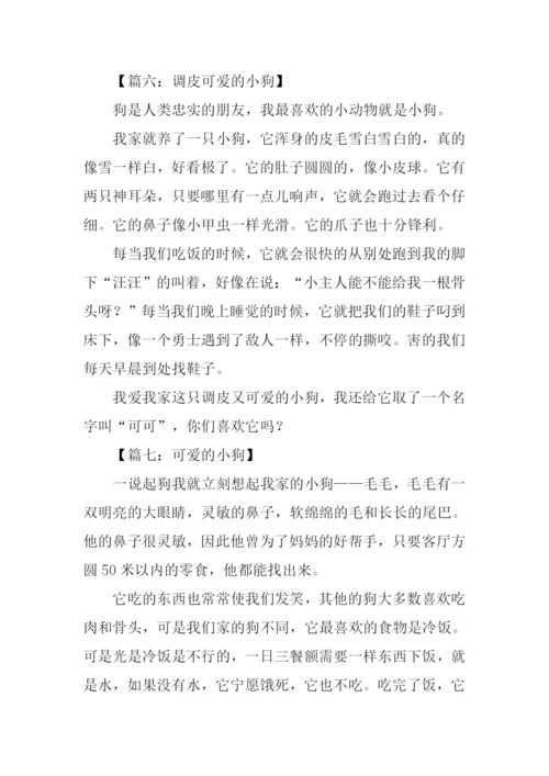 关于小动物的作文200字.docx