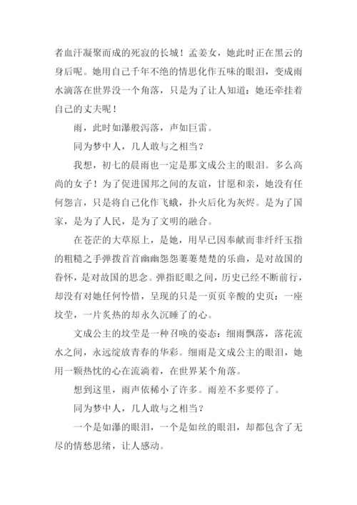 关于眼泪的话题作文.docx