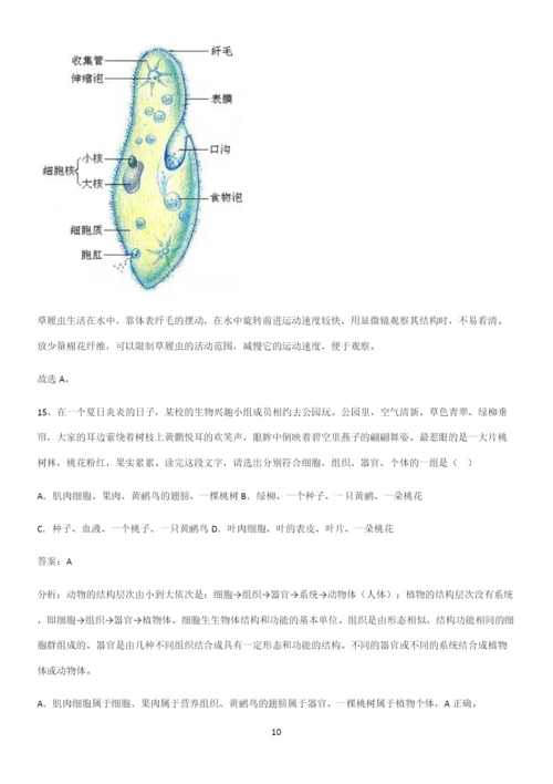 人教版2023初中生物七年级上册第二单元生物体的结构层次重点知识归纳.docx