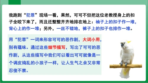 17.动物笑谈（课件）【2023秋人教七上语文高效实用备课】(共33张PPT)