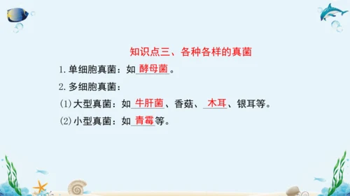 人教版八年级生物上册5.4《细菌和真菌》复习课件（含31张ppt）