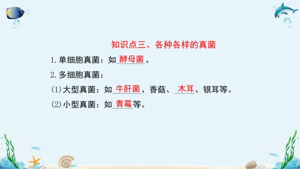 人教版八年级生物上册5.4《细菌和真菌》复习课件（含31张ppt）