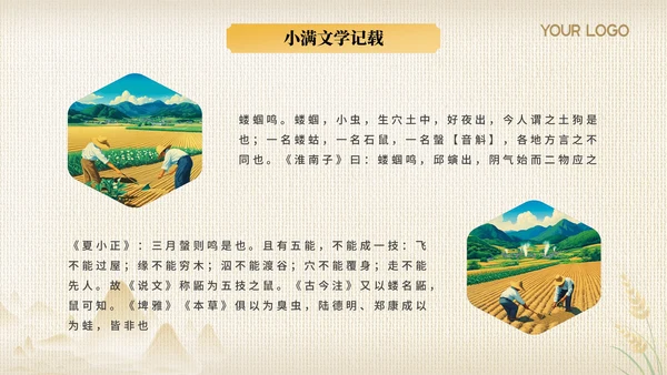 黄色节气之小满PPT模版