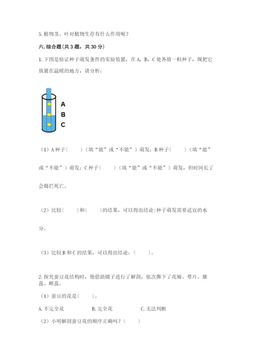 科学四年级下册第一单元植物的生长变化测试卷及答案【考点梳理】.docx