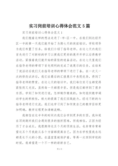 实习岗前培训心得体会范文5篇.docx