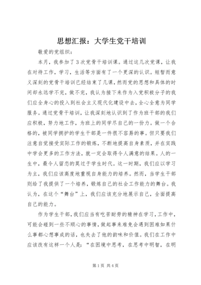 思想汇报：大学生党干培训.docx