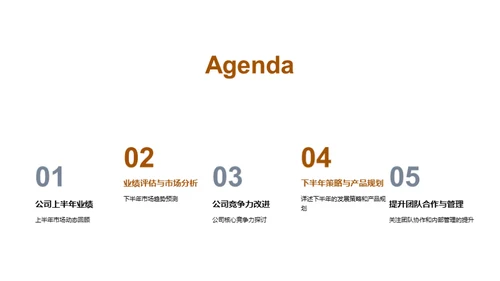 家居业务半年回顾与展望
