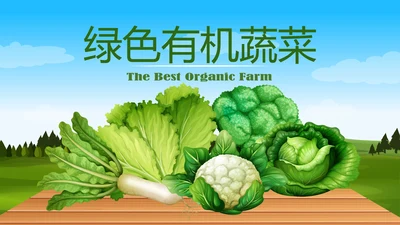 绿色有机蔬菜动态PPT