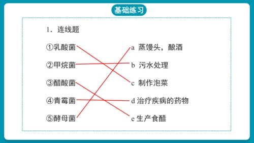 5.4.5人类对细菌和真菌的利用（第2课时）-人教版生物八年级上册(共25张PPT)