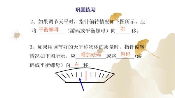 6.1质量（课件）(共29张PPT) -2023-2024学年八年级物理上册同步精品课堂（人教版）