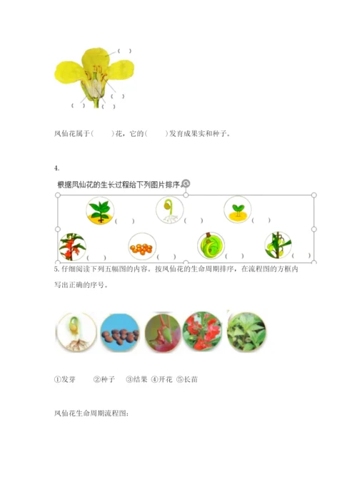 教科版科学四年级下册第一单元《植物的生长变化》测试卷【综合卷】.docx