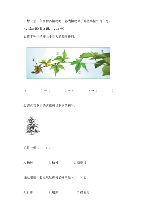 教科版科学一年级上册第一单元《植物》测试卷带答案（满分必刷）.docx