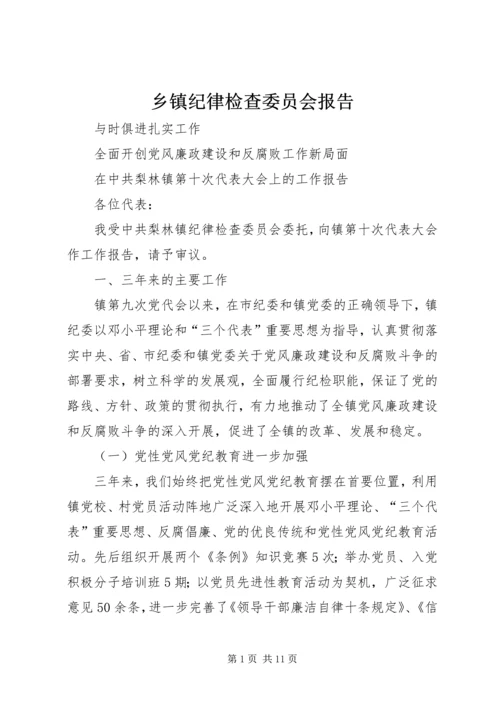 乡镇纪律检查委员会报告.docx