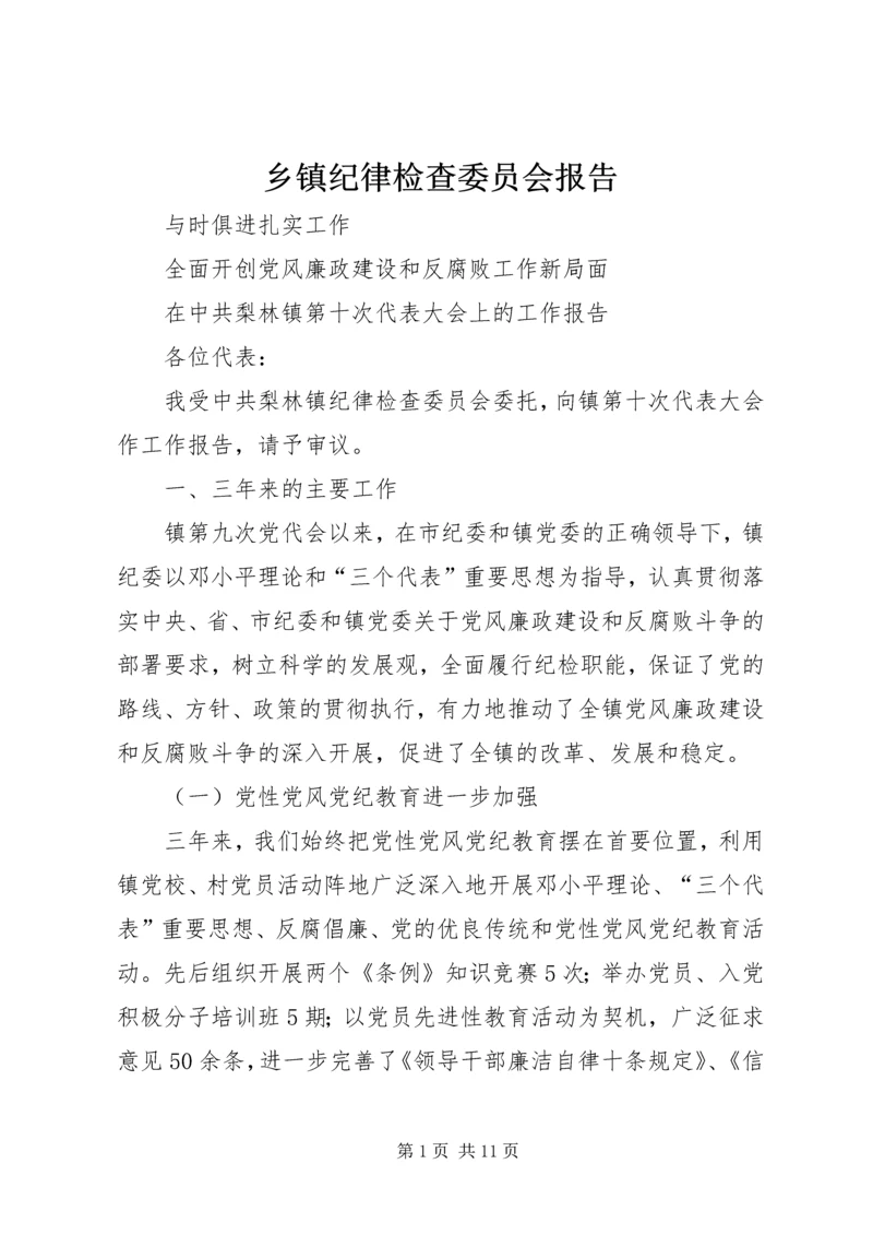 乡镇纪律检查委员会报告.docx