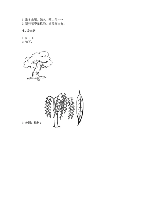 教科版科学一年级上册第一单元《植物》测试卷【名师推荐】.docx